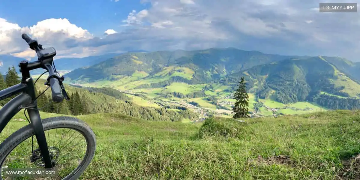 指尖掌控赛场,弹幕点燃激情!🎥